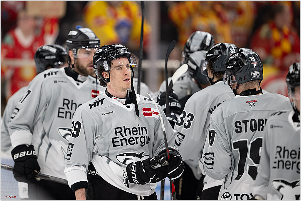 PENNY DEL 1; Düsseldorfer EG - Kölner Haie; Düsseldorf, 24.01.2025